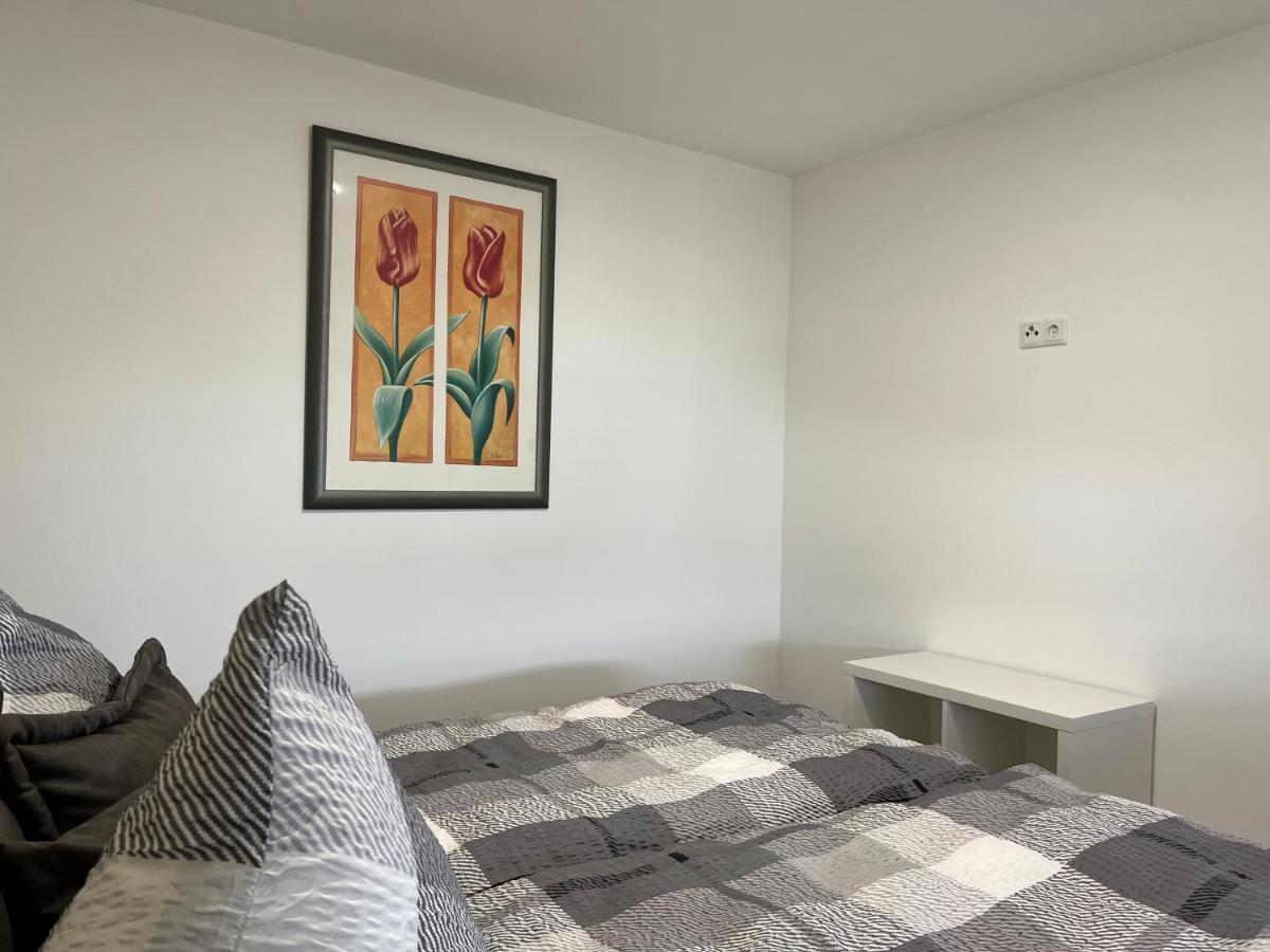 Ellas Ferienhaus Elbingerode  Buitenkant foto